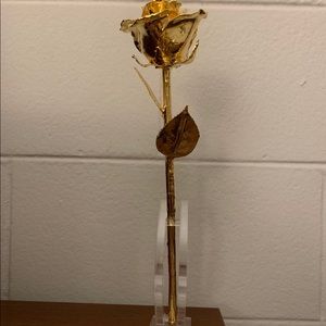 24 K Gold Dipped Forever Rose